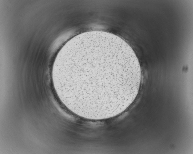 X0000113220245200910221131