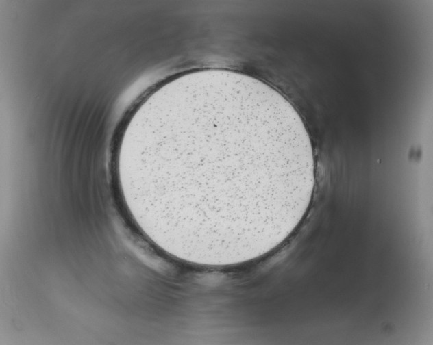 X0000113220246200910221131