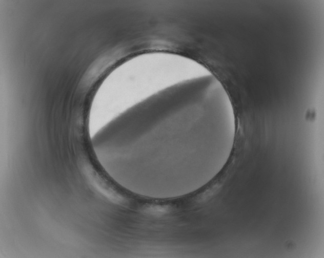 X0000113220247200910221131