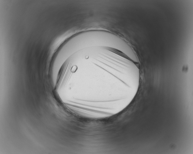 X0000113220248200910221131