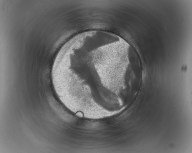 X0000113220249200910221131