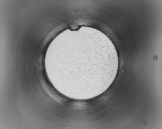 X0000113220250200910221131