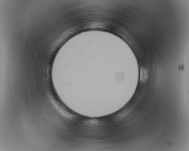 X0000113220253200910221131