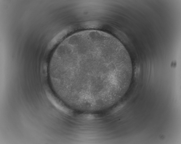 X0000113220254200910221131
