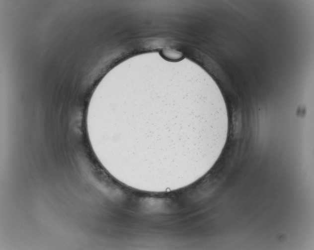 X0000113220255200910221131