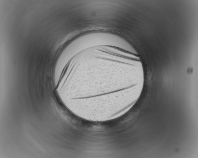 X0000113220256200910221131