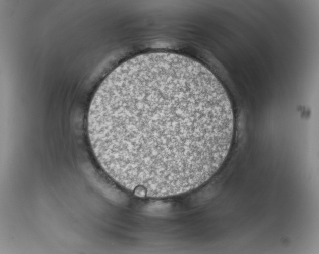 X0000113220257200910221131