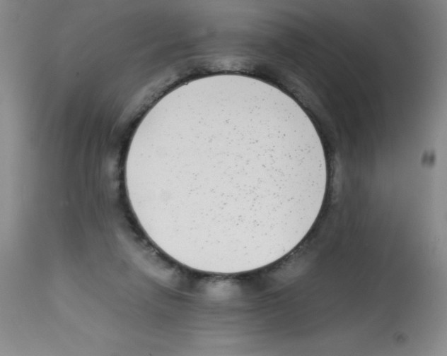 X0000113220258200910221131