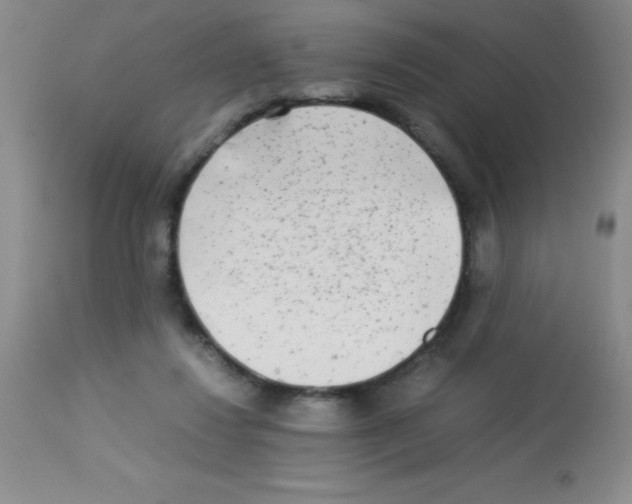 X0000113220260200910221131