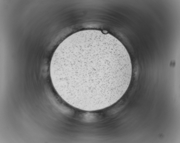 X0000113220261200910221131