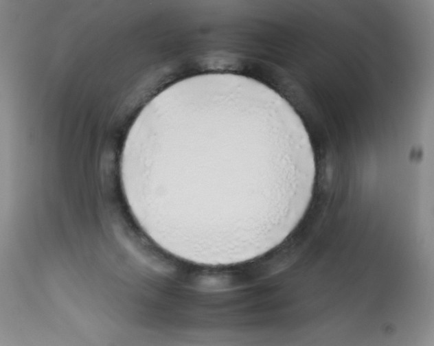 X0000113220263200910221131