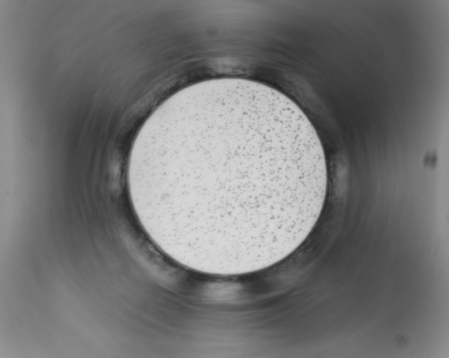 X0000113220266200910221131