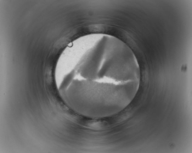 X0000113220267200910221131