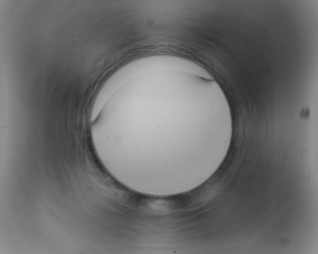 X0000113220268200910221131
