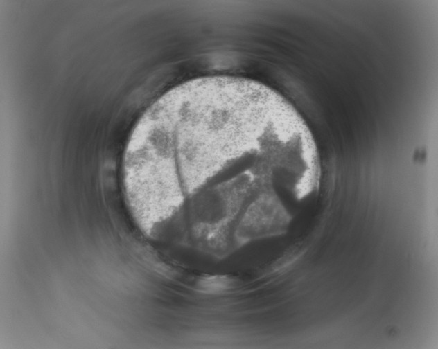 X0000113220269200910221131