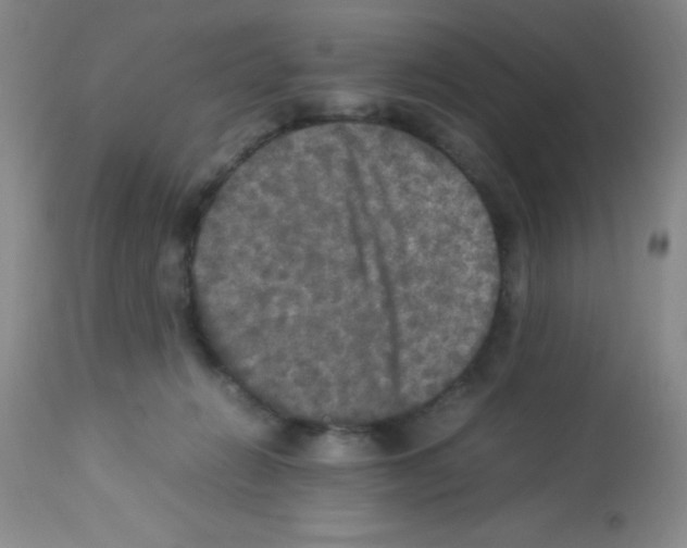 X0000113220270200910221131
