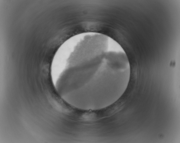 X0000113220271200910221131
