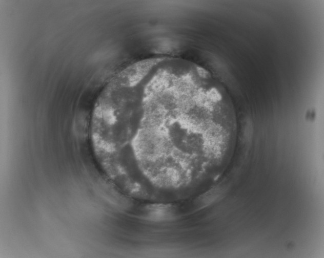 X0000113220273200910221131