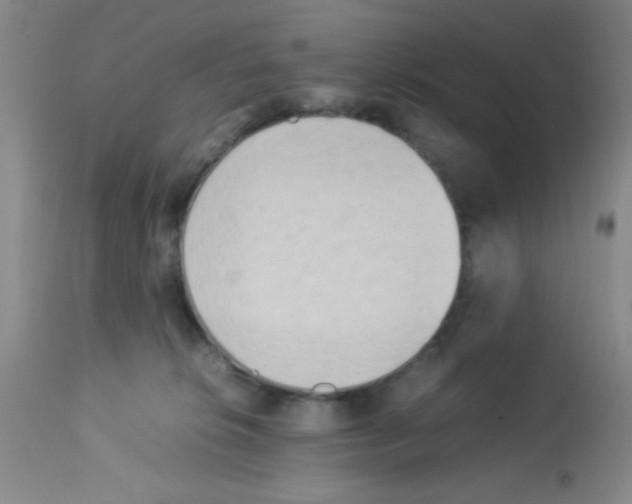 X0000113220276200910221131