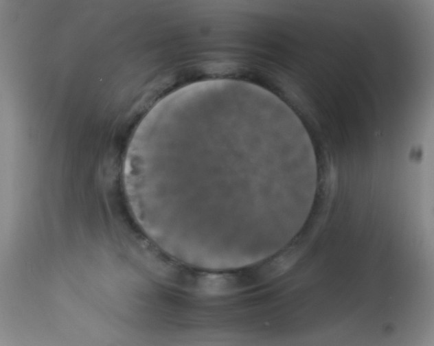 X0000113220277200910221131