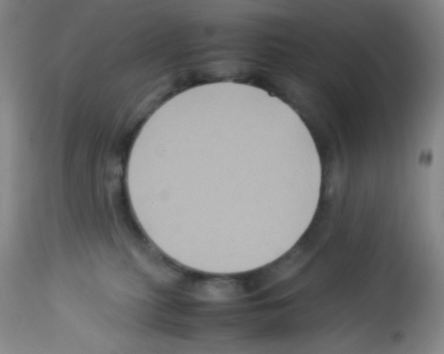 X0000113220279200910221131