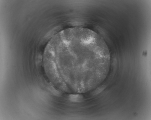 X0000113220281200910221131