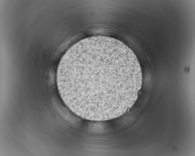 X0000113220282200910221131