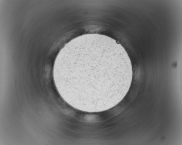 X0000113220283200910221131