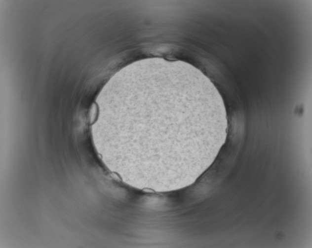 X0000113220284200910221131