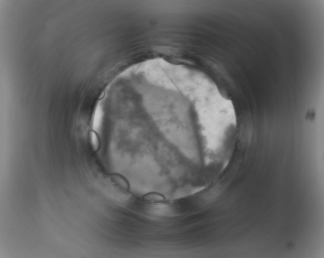 X0000113220285200910221131