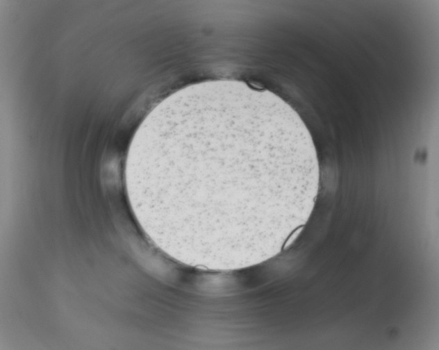X0000113220286200910221131