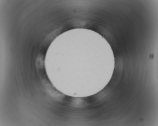 X0000113220287200910221131