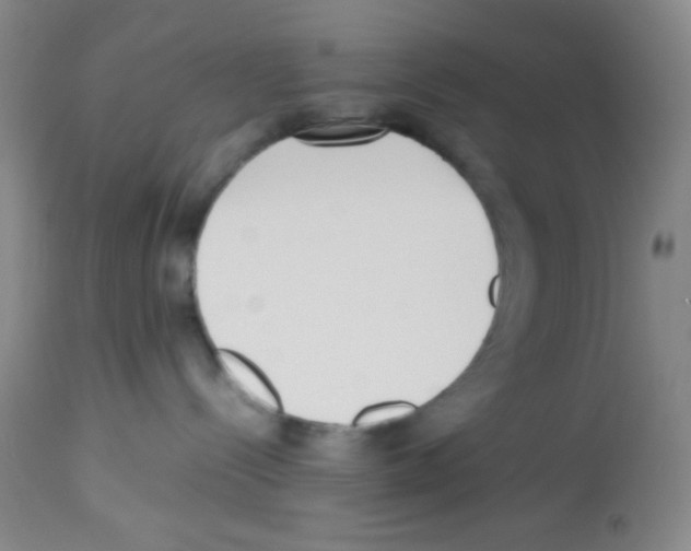 X0000113220288200910221131
