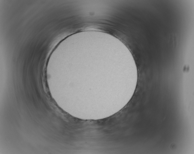 X0000113220289200910221131