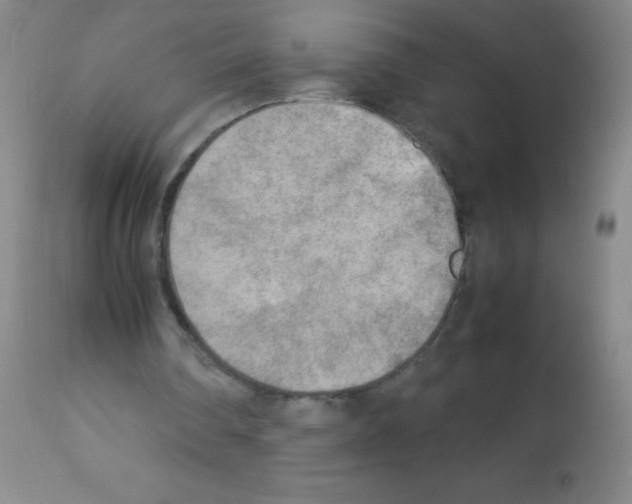 X0000113220290200910221131