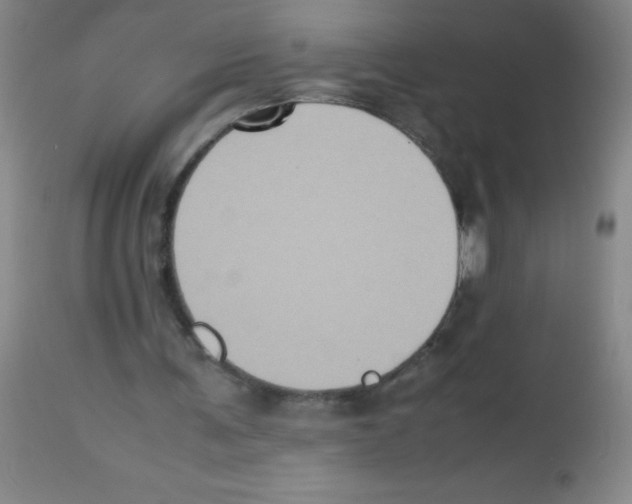 X0000113220291200910221131