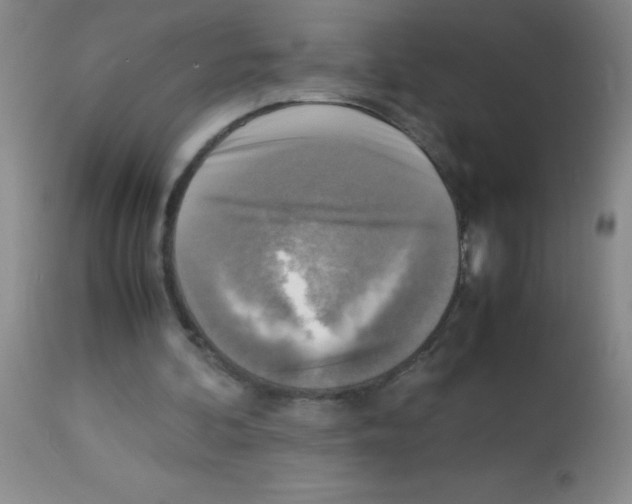X0000113220292200910221131
