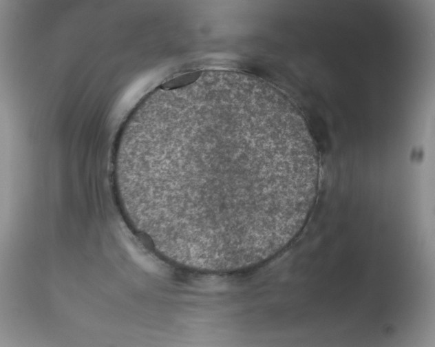 X0000113220293200910221131