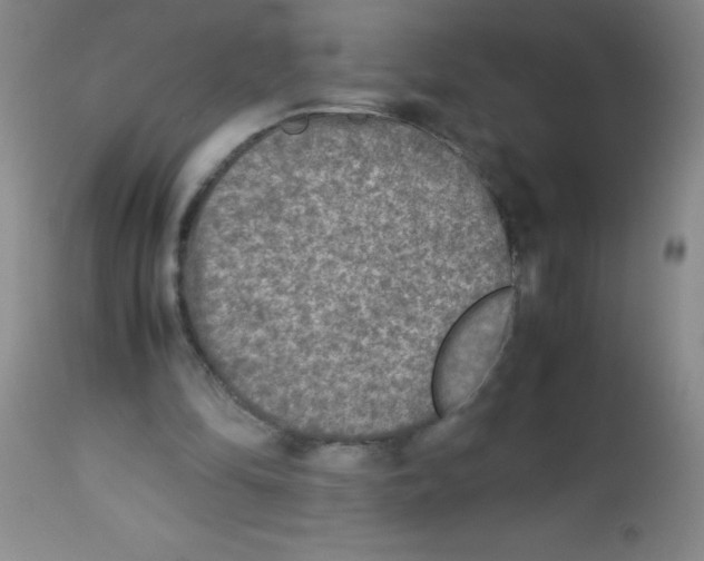 X0000113220294200910221131