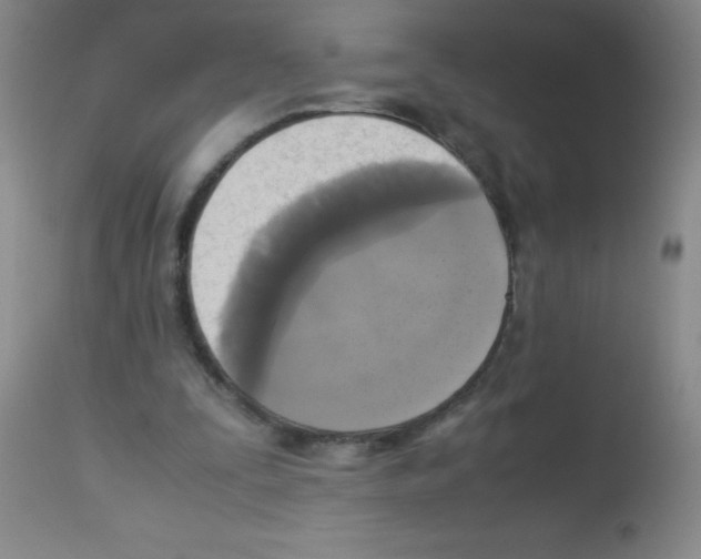 X0000113220295200910221131