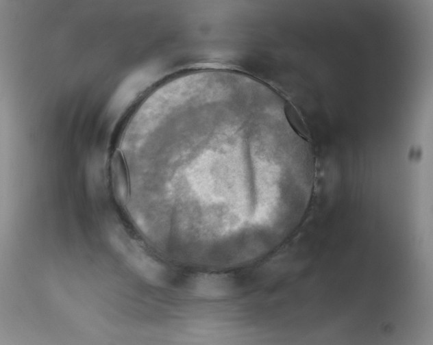 X0000113220296200910221131