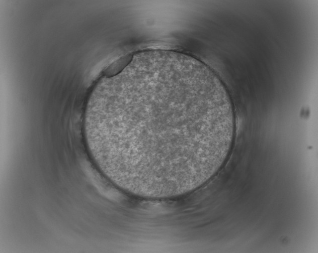 X0000113220297200910221131