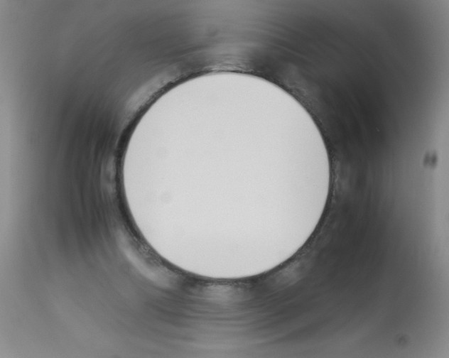 X0000113220298200910221131