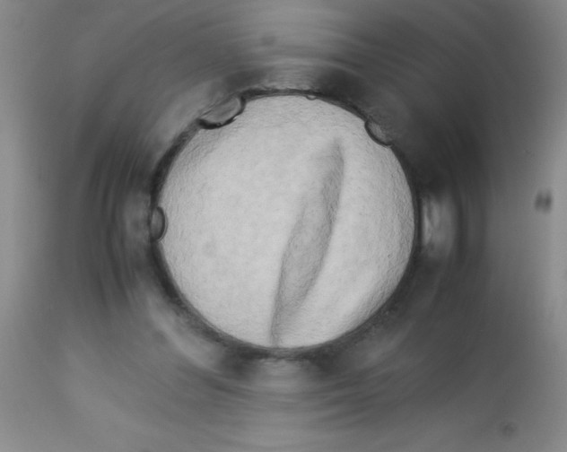 X0000113220300200910221130