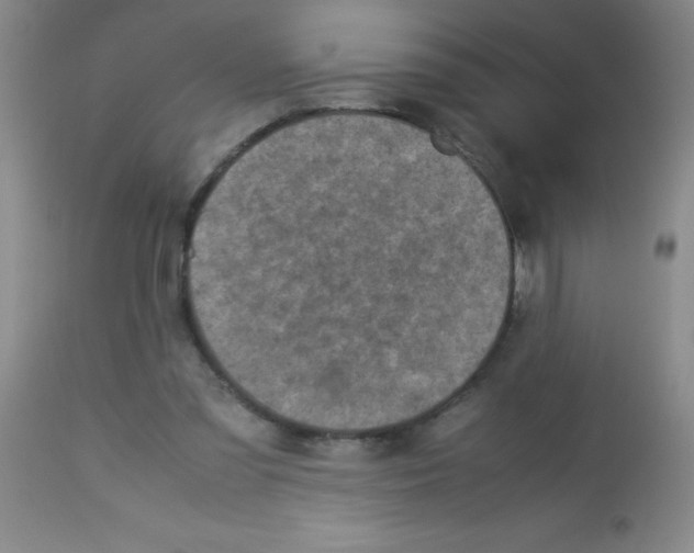 X0000113220301200910221130