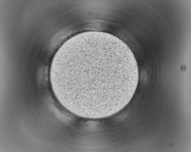 X0000113220302200910221130