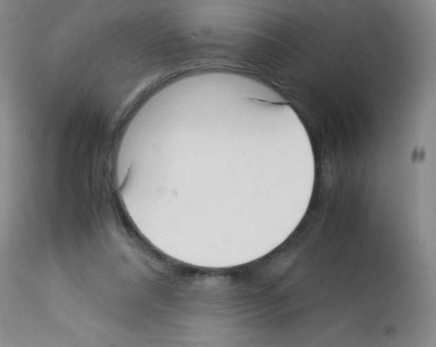 X0000113220304200910221130