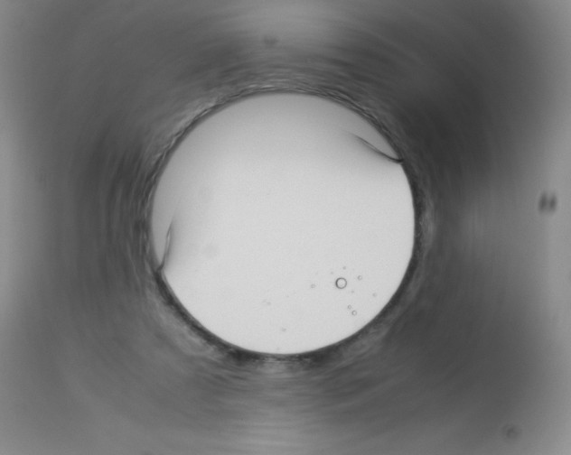 X0000113220305200910221130