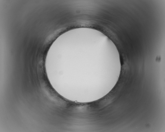 X0000113220306200910221130
