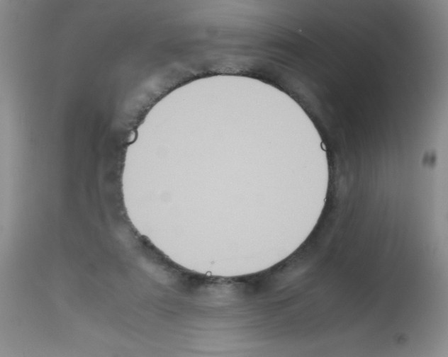 X0000113220307200910221130